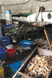 對手抹黑還是行業(yè)亂象？消毒餐具工廠曝光事件背后的博弈